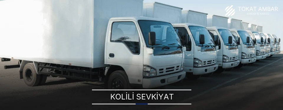 Tokat Kolili Sevkiyat Ambar Firmaları